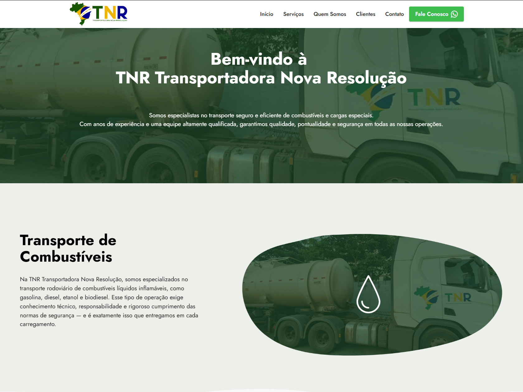 http://tnrtransportes.com.br/